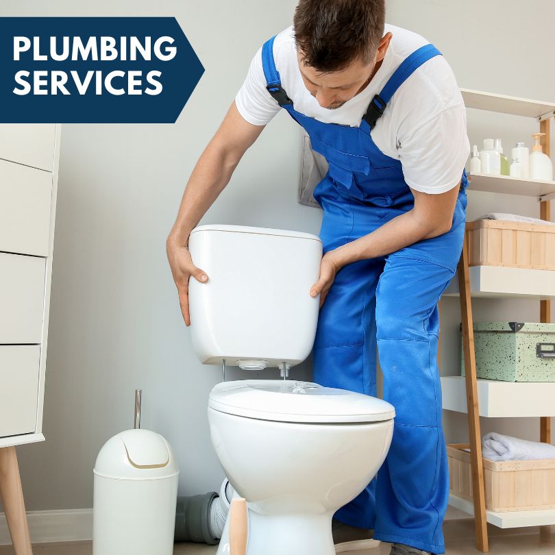Plumbing Company in Leadore, ID